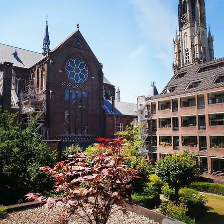 My In Delft