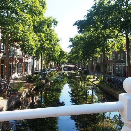 My In Delft
